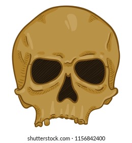 Vector Single Cartoon Illustration - Old Brown Human Skull. Front View.
