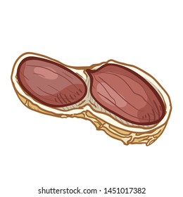 Vector Single Cartoon Peanut Illustration