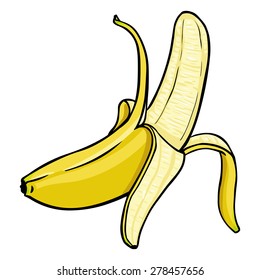 Vector Single Cartoon Peeled Banana