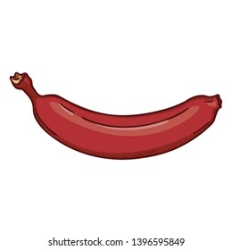 Vector Single Cartoon Red Banana on Isolated White Background