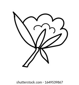 Vector de algodón sencillo. Ilustración ecológica línea negra de doodle en un fondo blanco aislado. Diseño para medios sociales, web, tarjetas, textiles, papel de envoltura, embalaje, estampado, colorante.