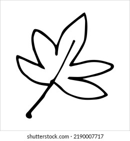 Vector single element maple leaf black silhouette