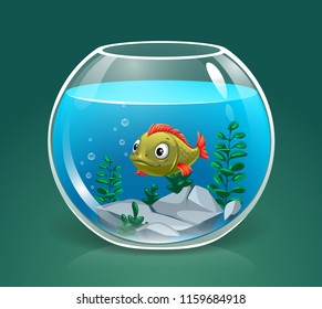 Vector Single Fish Swimming In Transparent Round Glass Bowl Aquarium With Stones Realistic Image Print Illustration