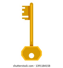 Vector Single Flat Golden Antique Key