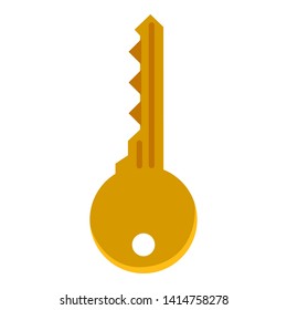 Vector Single Flat Golden Modern Key