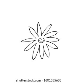 Vector single flower hand drawn. A simple illustration of a doodle in black line art on a white isolated background. Design for prints, wrapping paper, wallpaper, packaging, cards and coloring.