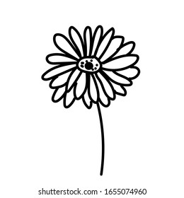 Vector single Gerbera. Botanical illustration doodle black line art on a white isolated background.Design for social media,web,cards,textiles, wrapping paper,packaging,prints,coloring.