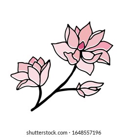 Dibujo vectorial de una mano con flor de magnolia. 