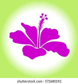 Vector single hibiscus flower icon in green and magenta colors.