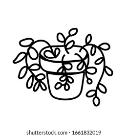 Vector single house plant. Ecological illustration doodle black line on a white isolated background. Design for social media, web, cards, textiles, wrapping paper, packaging, prints, coloring.