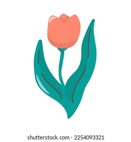 Vector single image of red tulip in hand drawn style