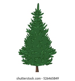 Vector Single Isolated Cartoon Pine Tree on White Background