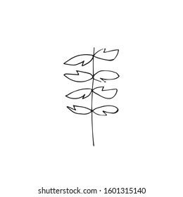 Vector single leaves hand drawn. A simple illustration of a doodle in black line art on a white isolated background. Design for prints, wrapping paper, wallpaper, packaging, cards and coloring.