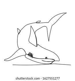 vector, single line drawing, shark