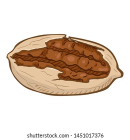 Vector Single Pecan Nut in Shell