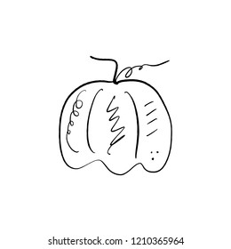 Vector single pumpkin line sketch, hand drawn illustration. Logo, label element