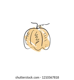 Vector single pumpkin line sketch, hand drawn illustration. Logo, label element. Orange color