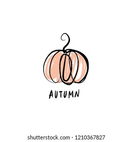 Vector single pumpkin line sketch, hand drawn illustration. Logo, label element. Orange color