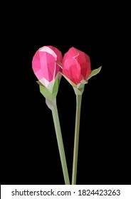 Vector single rose flower isolated on black background. 
Bright sunny spring or summer detailed and accurate design in low poly style. Floral design element.