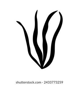 Vector single seaweed silhouette. Doodle illustrations. Hand drawn, not AI