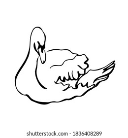 Vector single silhouettes of a Swan isolated on a white background. Icon of a Swan floating on the water. Vector illustration in black and white sketch style.  decorative birds. hand-drawn