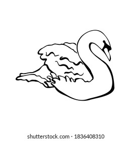 Vector single silhouettes of a Swan isolated on a white background. Icon of a Swan floating on the water. Vector illustration in black and white sketch style.  decorative birds. hand-drawn