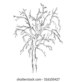 Vector Single Sketch Bare Tree