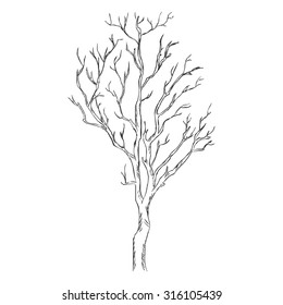 Dry Tree Sketch Images, Stock Photos & Vectors | Shutterstock