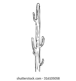 Vector Single Sketch Cacti