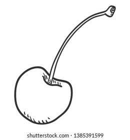 Vector Single Sketch Cherry Illustration
