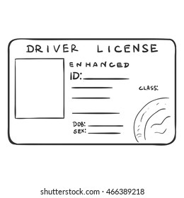 Vector Single Sketch Drivers License
