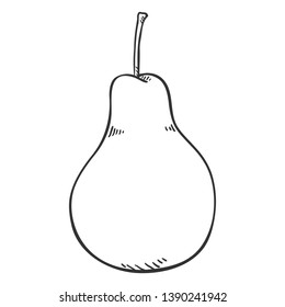 Vector Single Sketch Pear on Isolated White Background