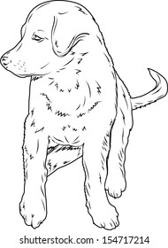 Vector of sitting dog on white background, sketch