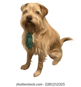 vectorial sentado Norfolk Terrier perro con corbata verde