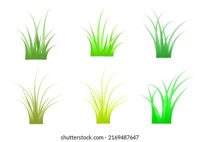 vector de seis pasto verde individual separado
