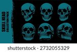 Vector six teal-colored human skulls illustrated in various anatomical perspective views