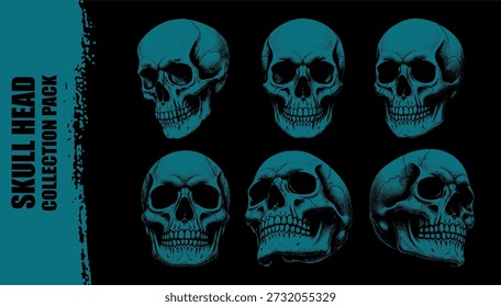 Vetor seis crânios humanos cor de azul-petróleo ilustrados em várias vistas de perspectiva anatômica