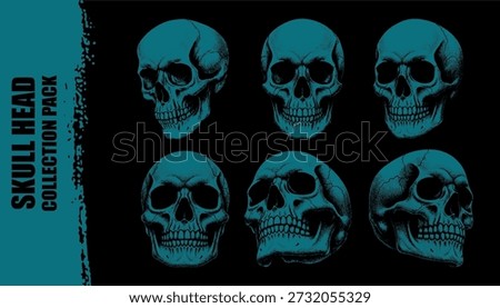 Vector six teal-colored human skulls illustrated in various anatomical perspective views