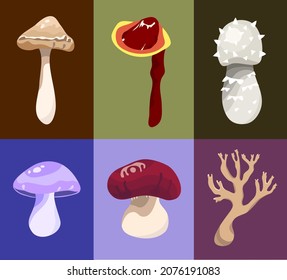 [Vector] Six wild edible mushrooms