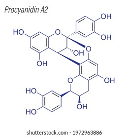 Vector Skeletal formula of Procyanidin A2. Drug chemical molecule.