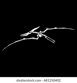 Vector skeleton of extincted ancient flying reptile Pteranodon. Isolated white silhouette on black background.