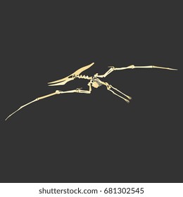 Vector skeleton of extincted ancient flying reptile Pteranodon. Isolated black silhouette on white background.