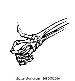 Vector skeleton hand on a white background