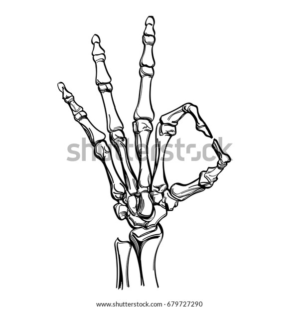 Vector skeleton hand showing gesture ok.\
Illustration isolated on white\
background