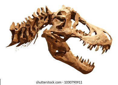 Vector skeleton of Tyrannosaurus rex ( T-rex ) on isolated background . Skull and Neck .