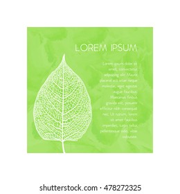 Vector skeletonized leaf. The graphic element may be used as a design background, business cards, postcards, etc.