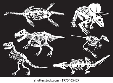 Vector skeletons of dinosaurs isolated on black background,paleontological illustration