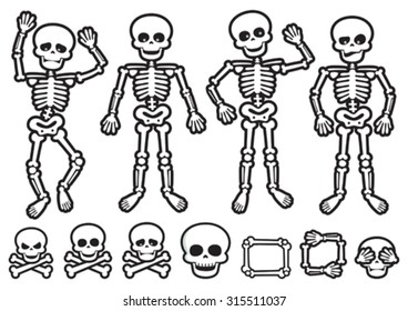 Vector skeletons and skulls