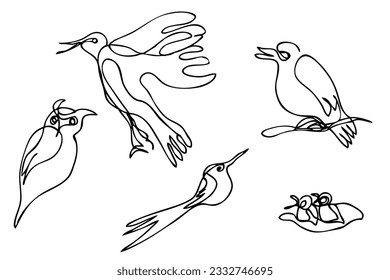 vector sketch 6 bird single one line art, continuous 
