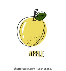 vector sketch of apple. vector lettering of the word apple. bright color drawing